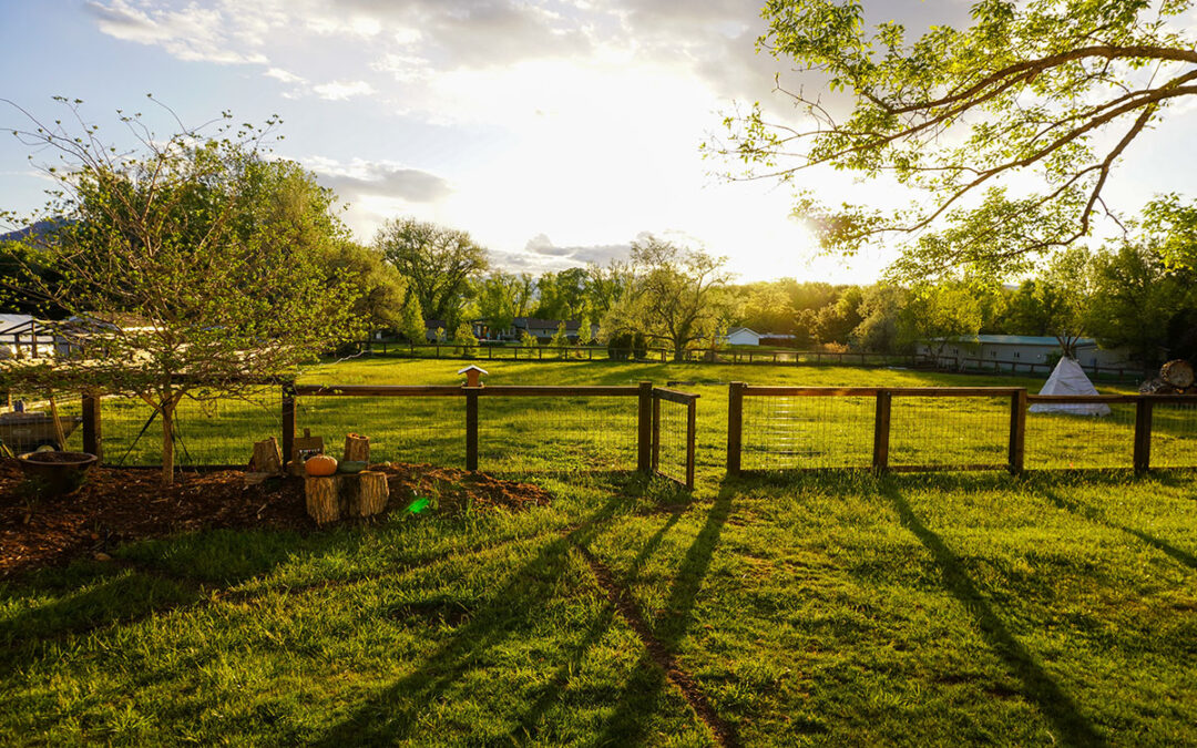 How Do You Find Your Septic Tank?