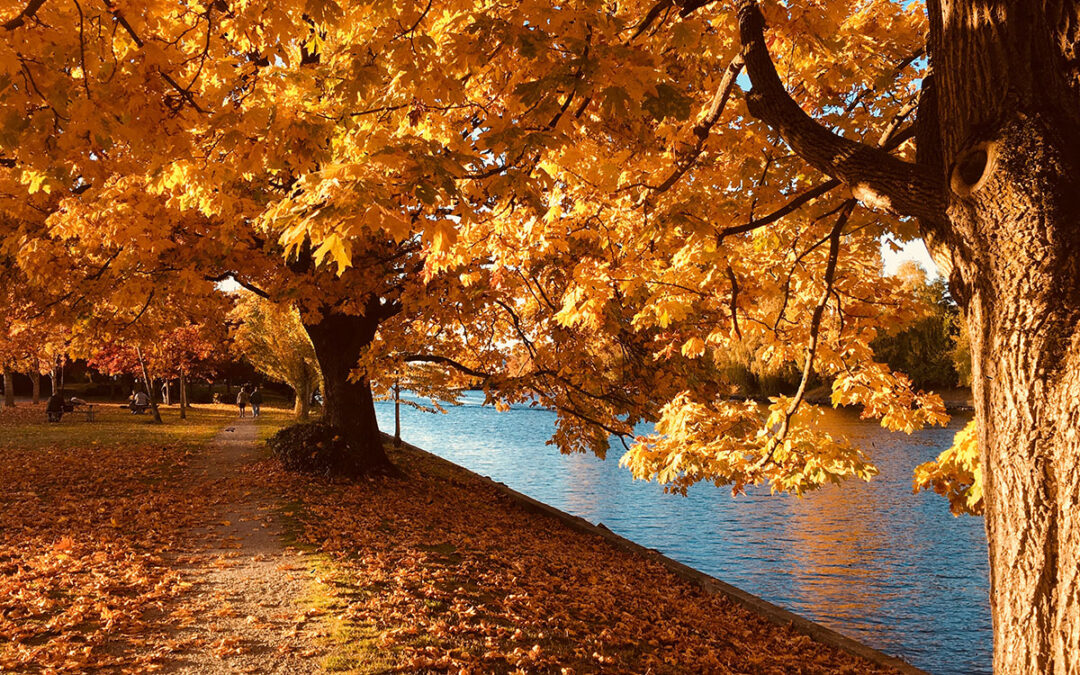 Is Fall a Good Time to Add on To My Home?